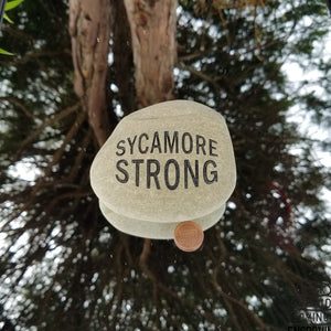 Sycamore Strong