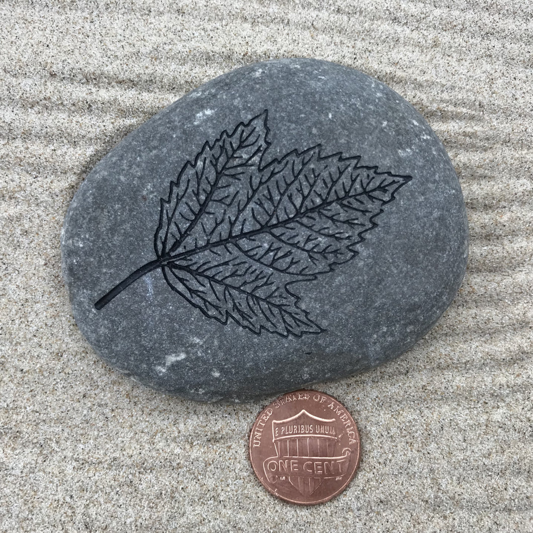 Leaf Fossil Illustration Engraved Natural Stone